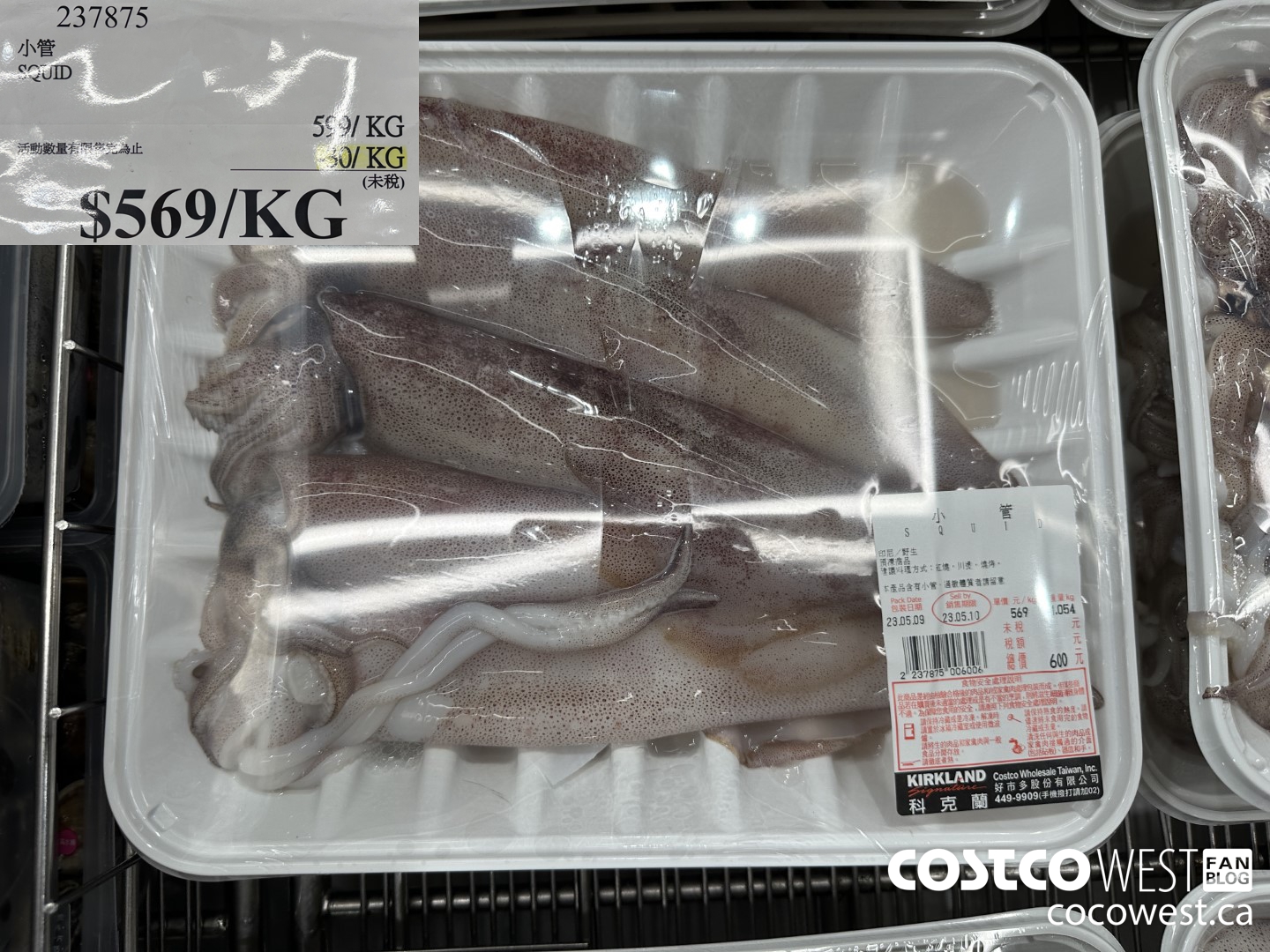 237875 SQUID ($30.00 INSTANT SAVINGS) $569.00