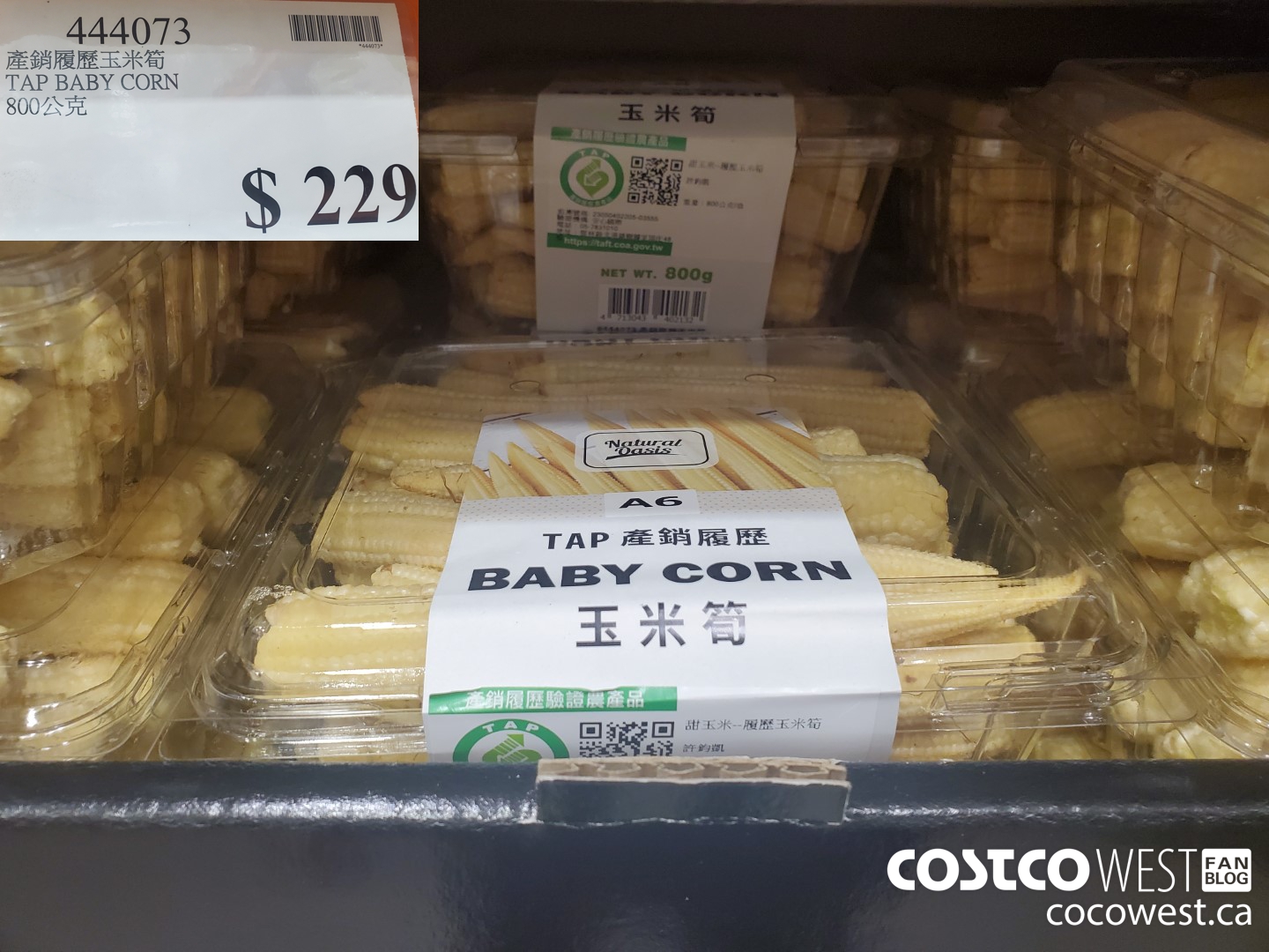 444073 TAP BABY CORN $229.00