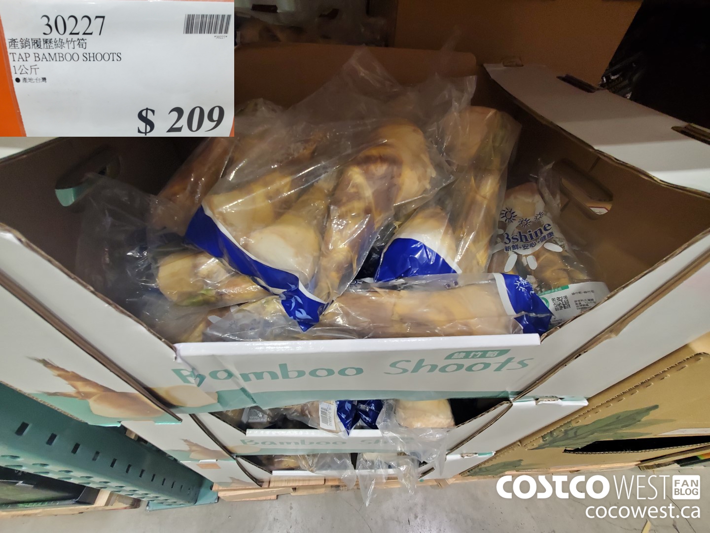 30227 TAP BAMBOO SHOOTS $209.00