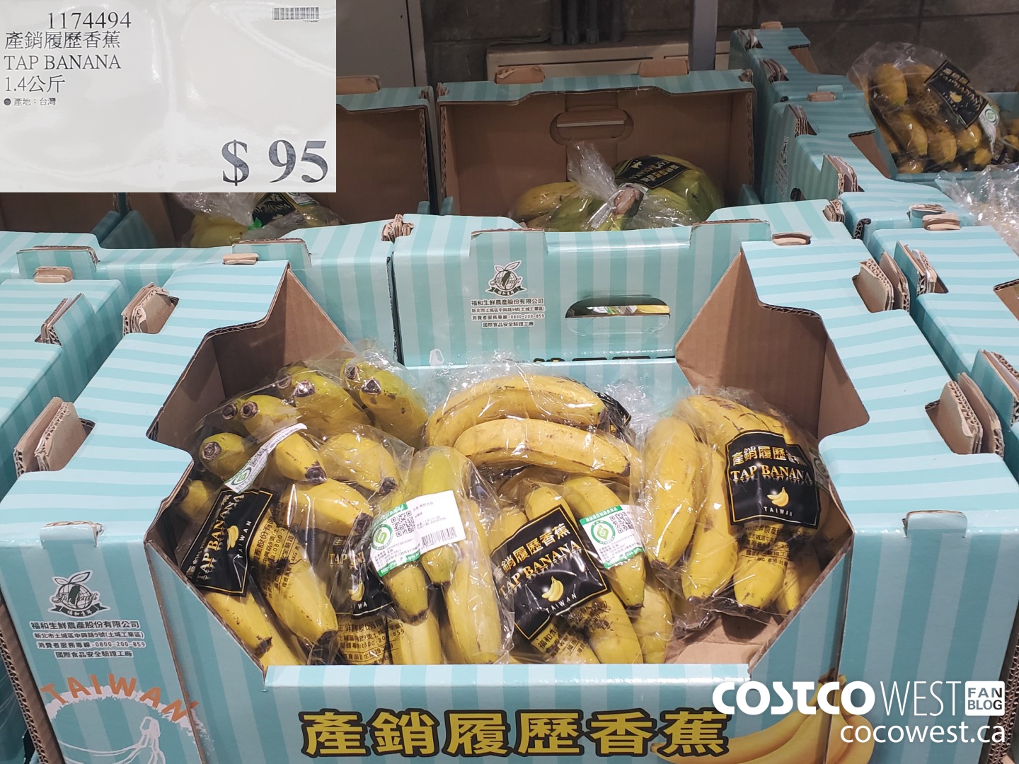 1174494 TAP BANANA $95.00