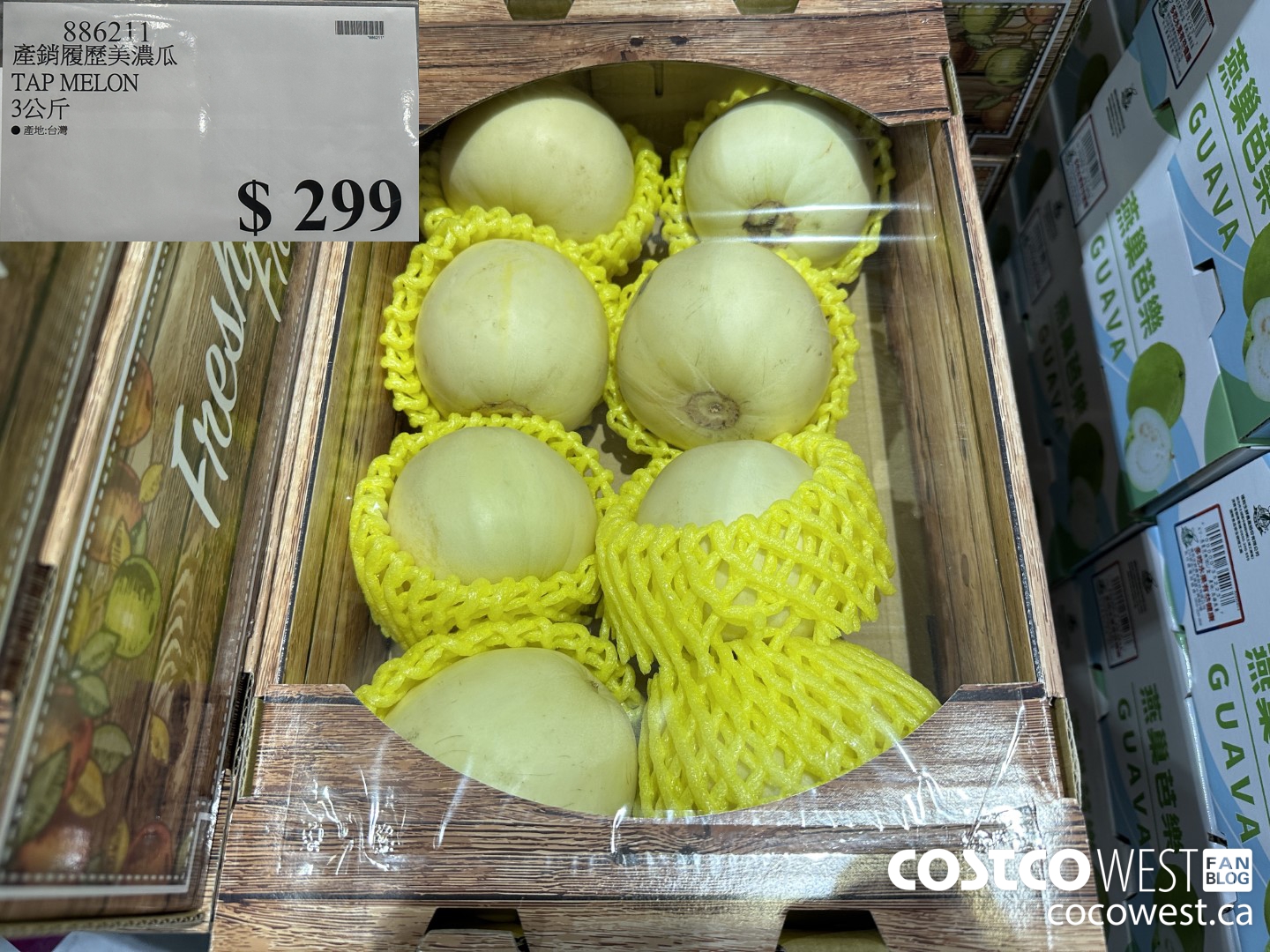 886211 TAP MELON $299.00