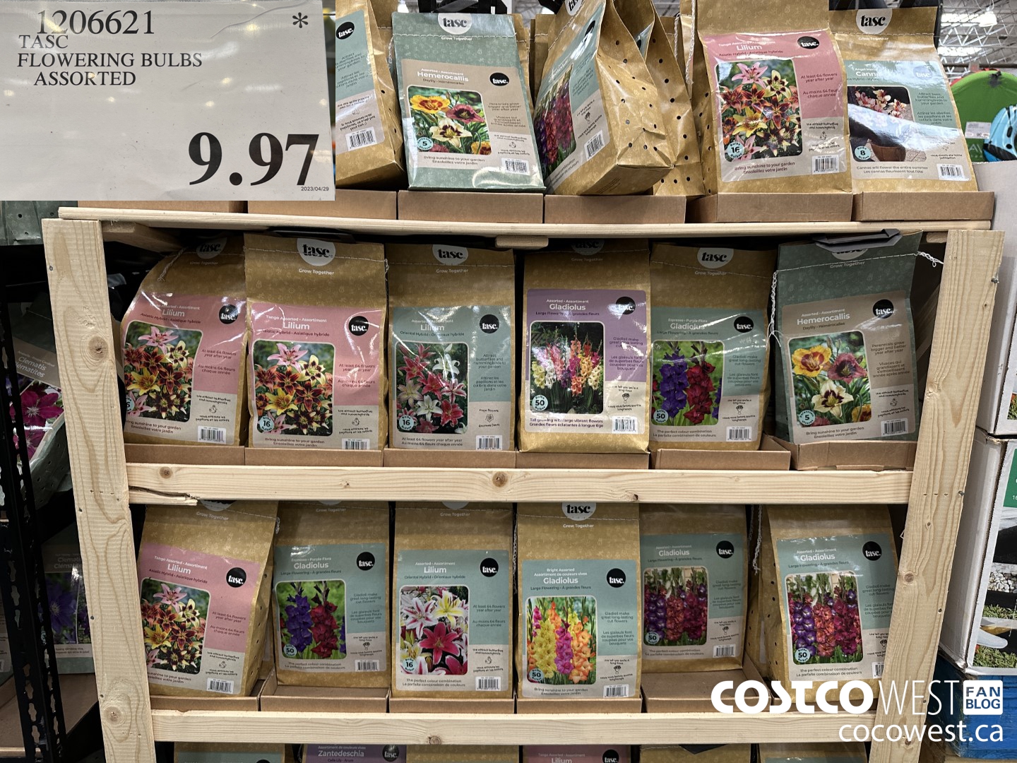 1206621 TASC FLOWERING BULBS ASSORTED $9.97