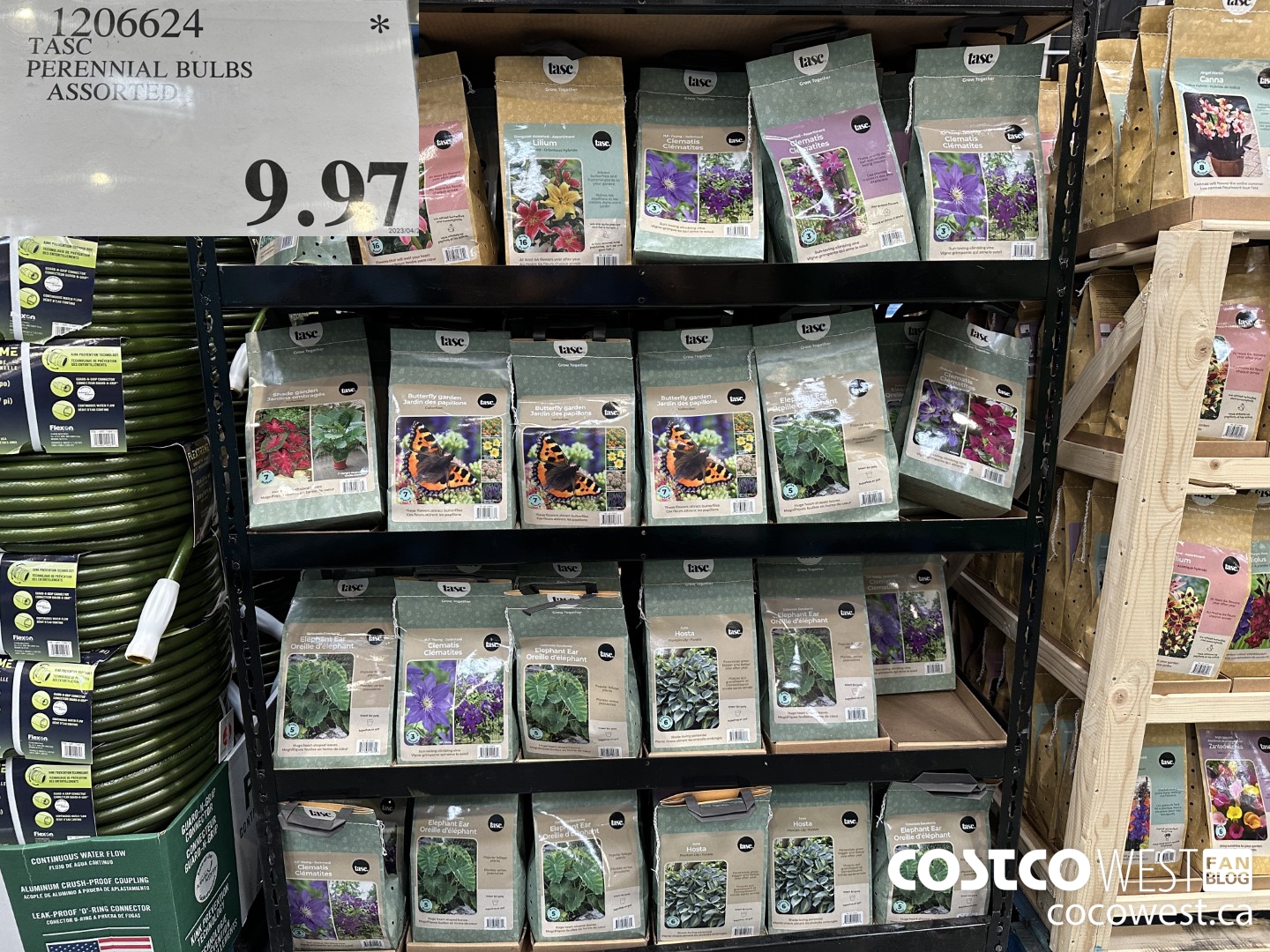 1206624 TASC PERENNIAL BULBS ASSORTED $9.97