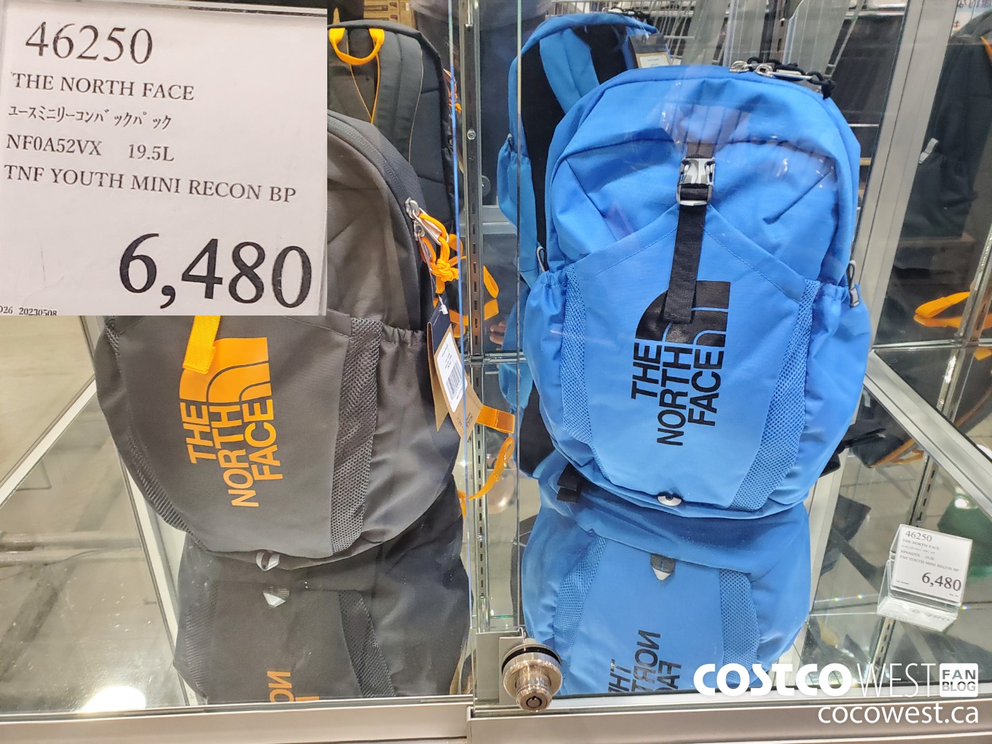 46250 THE NORTH FACE YOUTH MINI RECON BP NF0A52VX 19.5L $6480.00