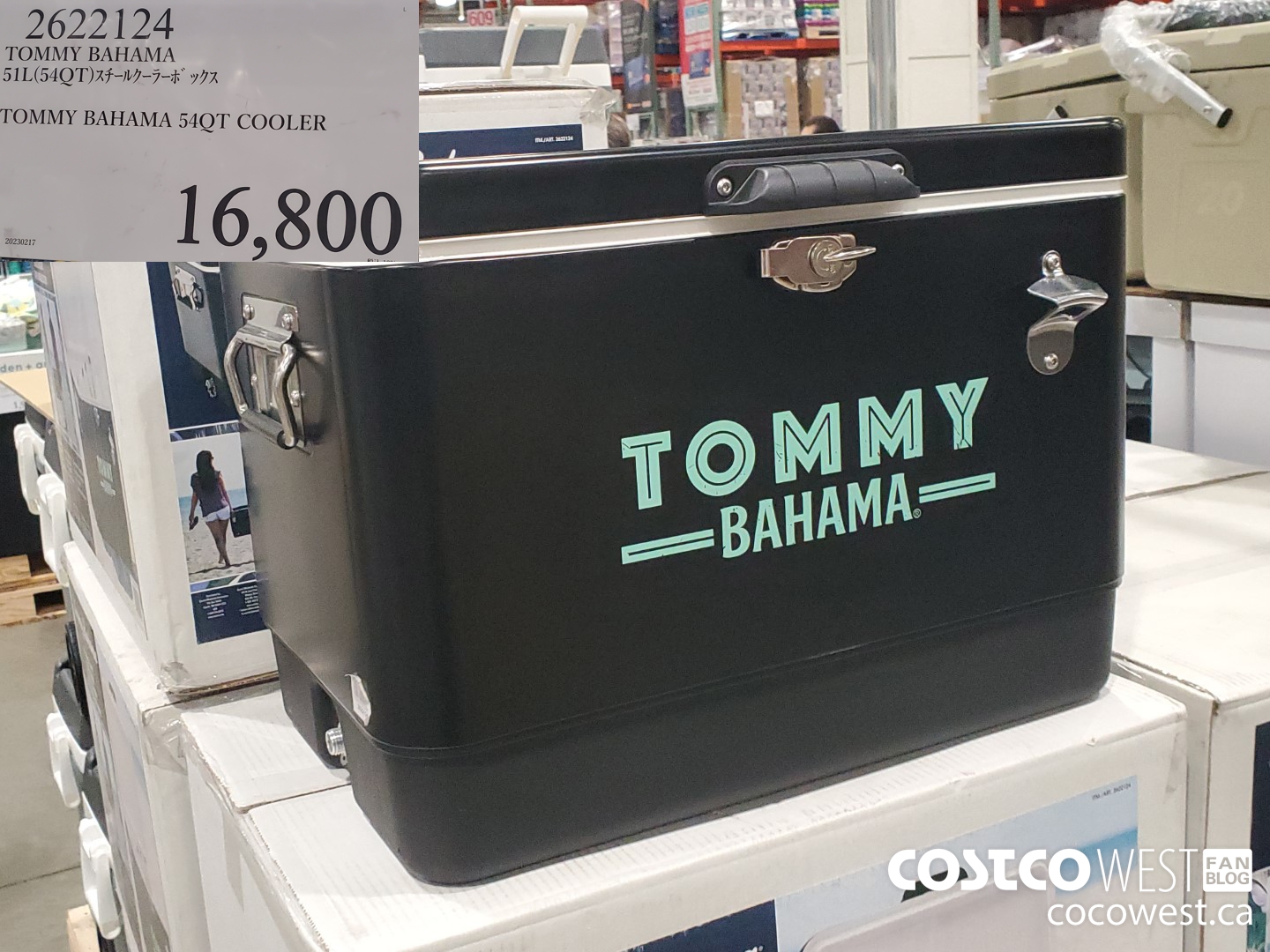 2622124 TOMMY BAHAMA 54QT COOLER $16800.00