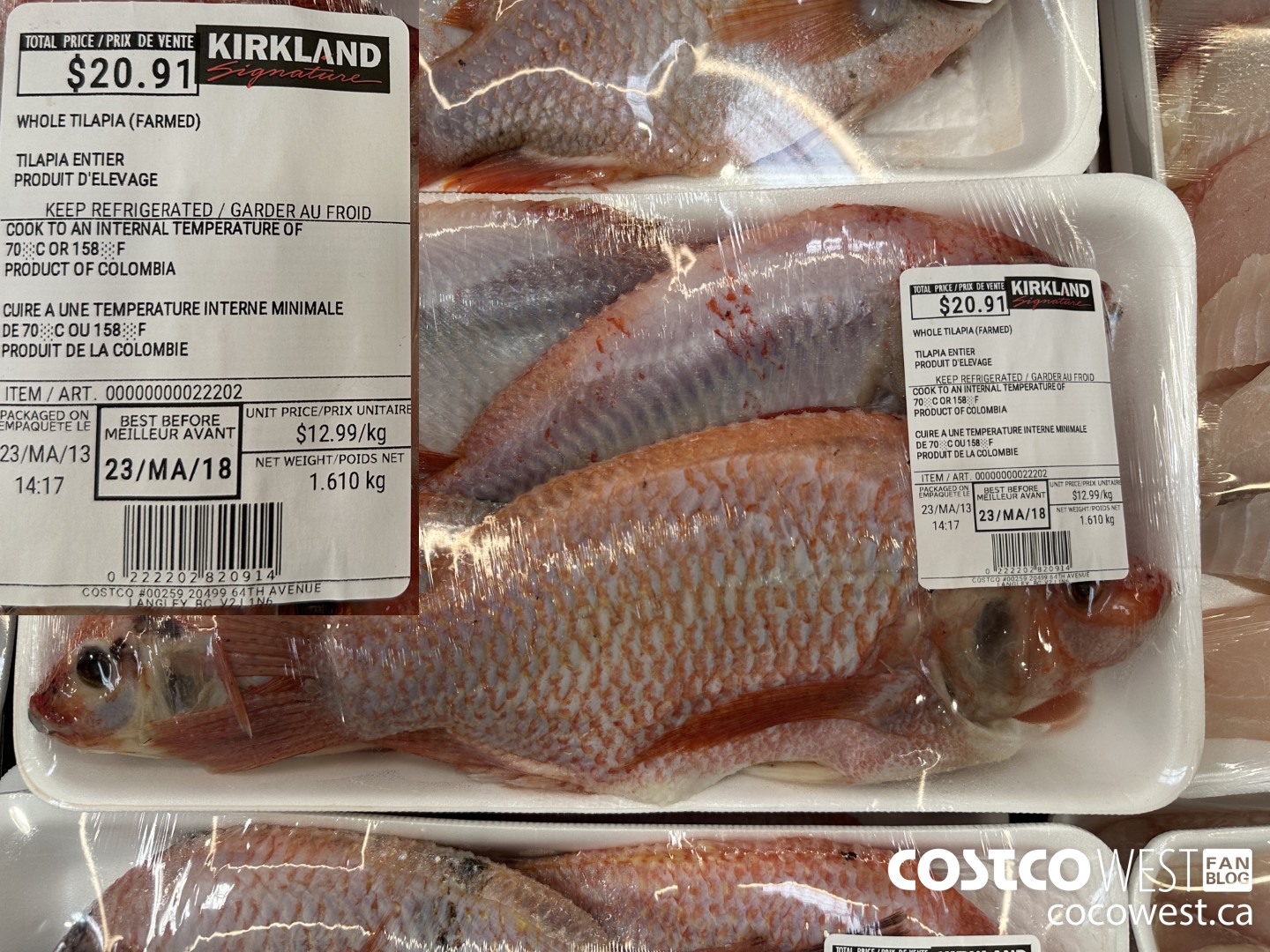 22202 WHOLE TILAPIA (FARMED) $12.99