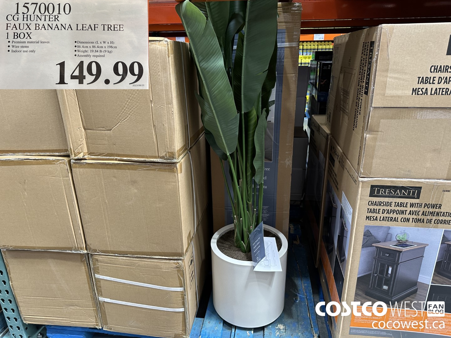 1570010 CG HUNTER FAUX BANANA LEAF TREE 1 BOX $149.99