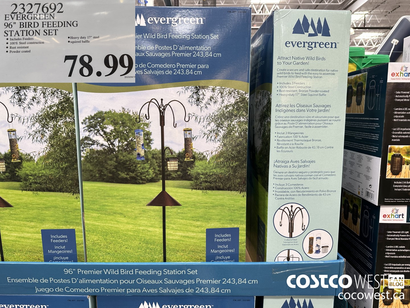 2327692 EVERGREEN 96