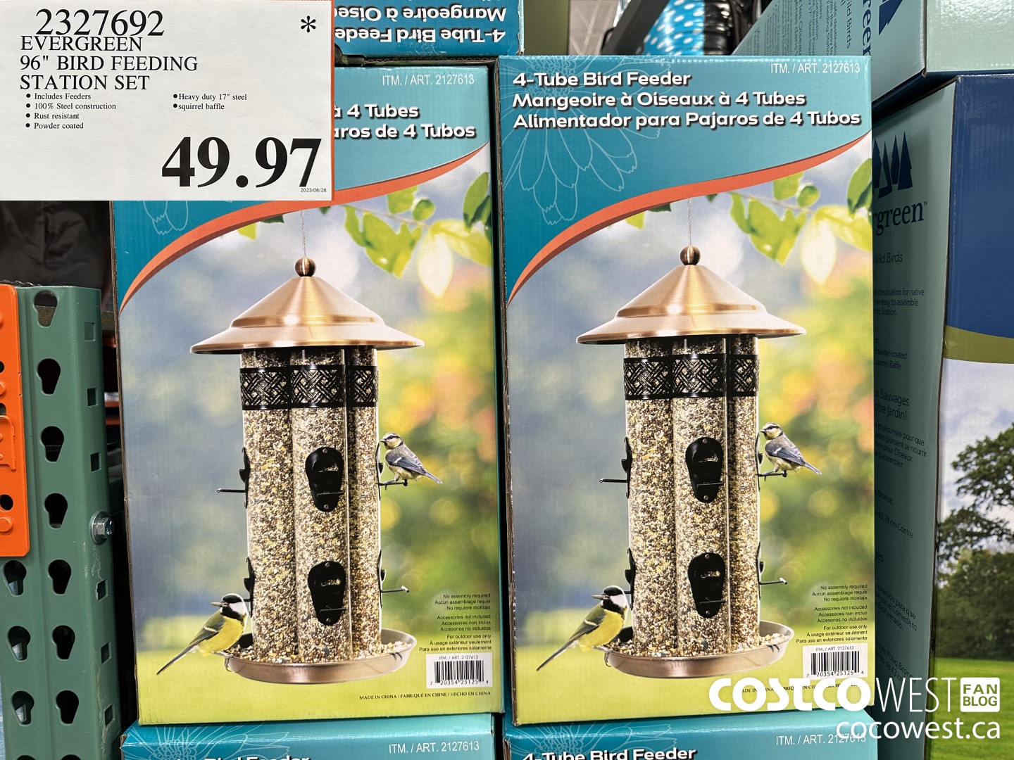 2327692 EVERGREEN 96