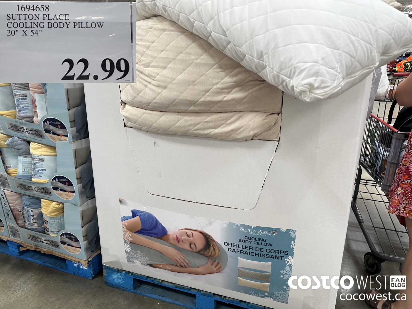 1694658 SUTTON PLACE COOLING BODY PILLOW 20