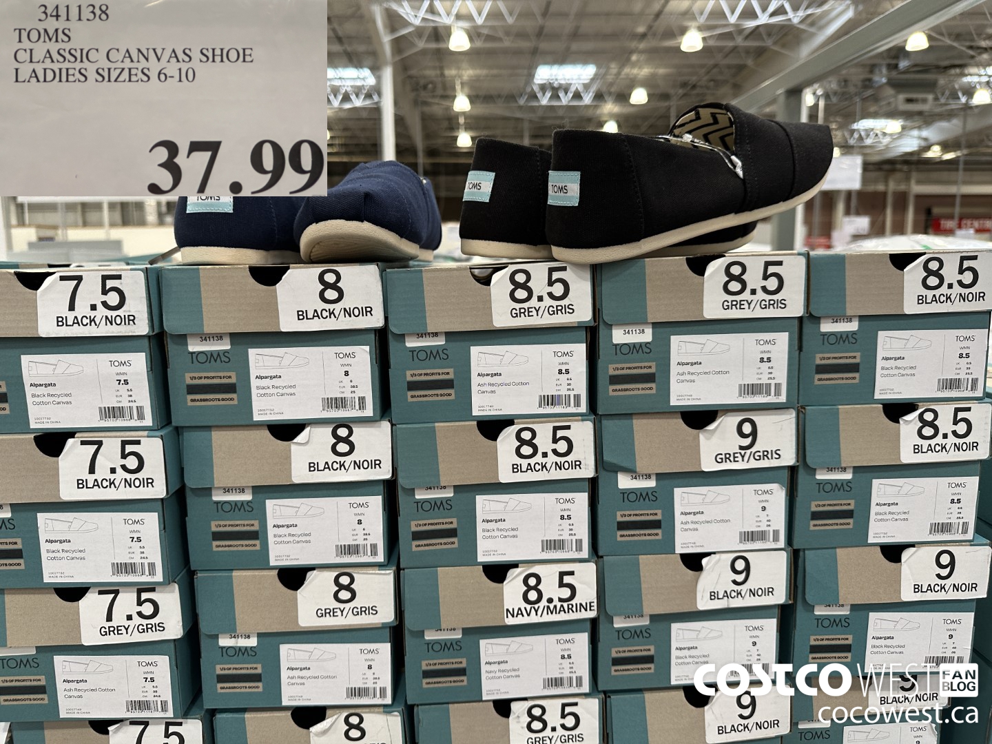 341138 TOMS CLASSIC CANVAS SHOE LADIES SIZES 6-10 $37.99