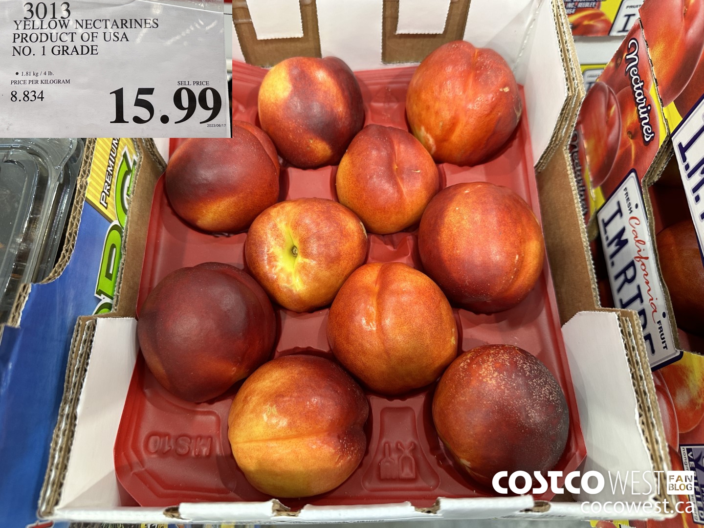 3013 YELLOW NECTARINES PRODUCT OF USA NO. 1 GRADE $15.99