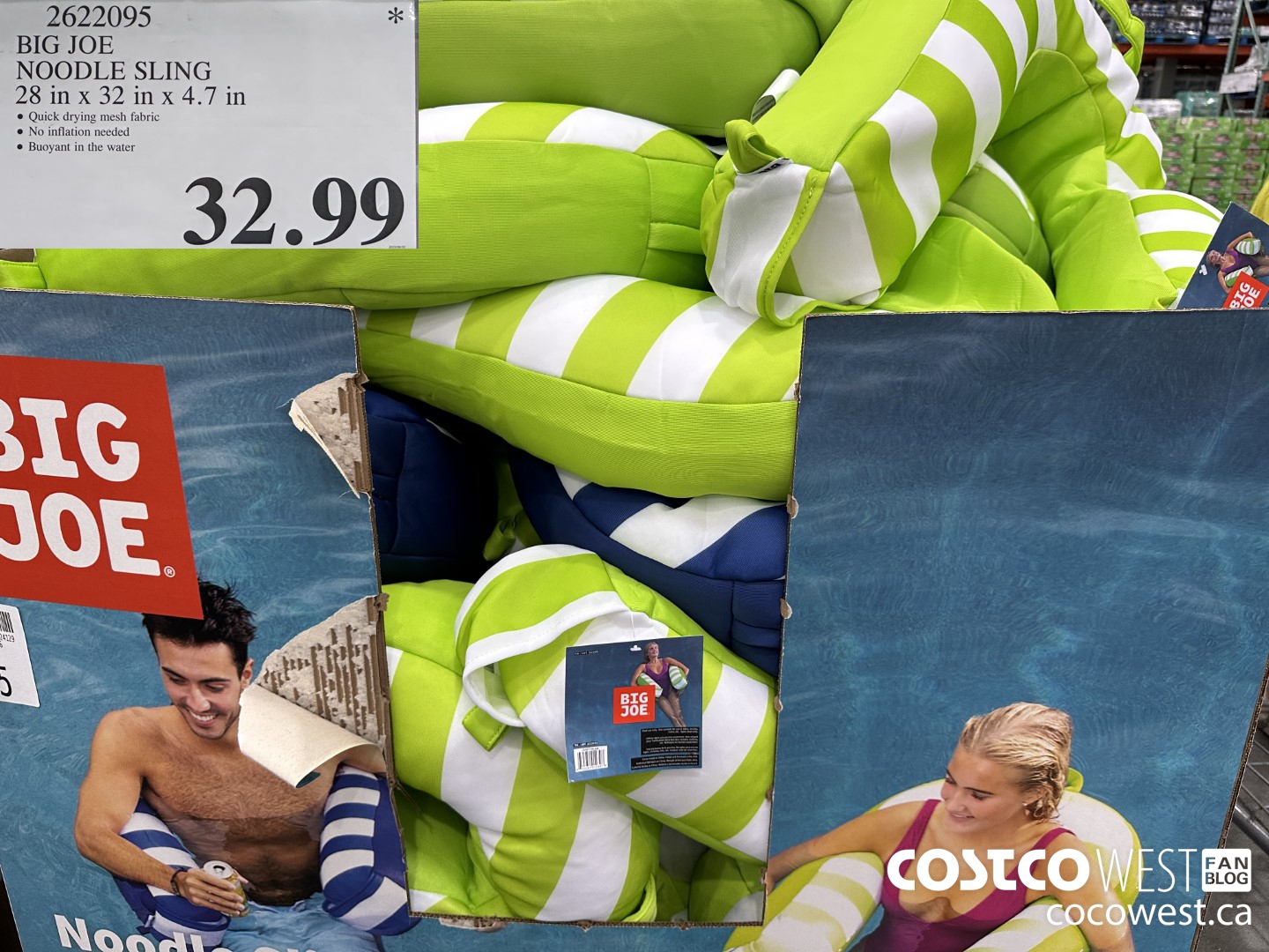 2622095 BIG JOE NOODLE 28 IN X 32 IN X 4.7 IN $32.99