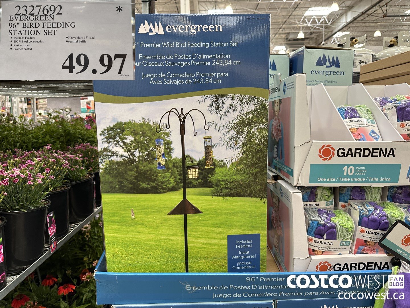 2327692 EVERGREEN 96