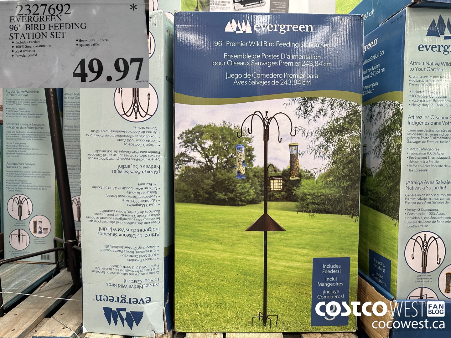 2327692 EVERGREEN 96