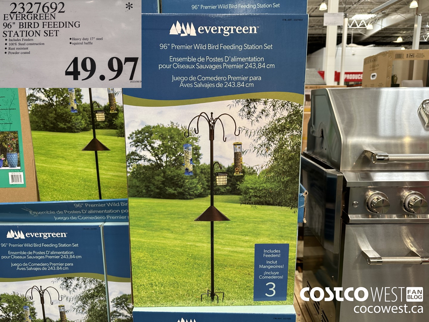 2327692 EVERGREEN 96