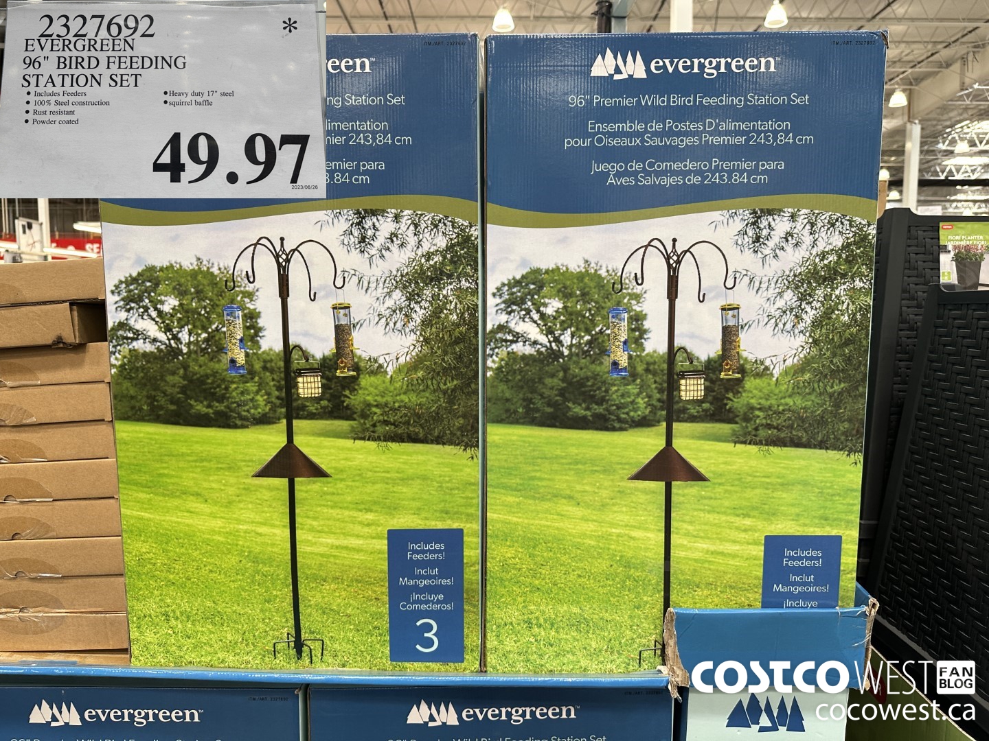 2327692 EVERGREEN 96