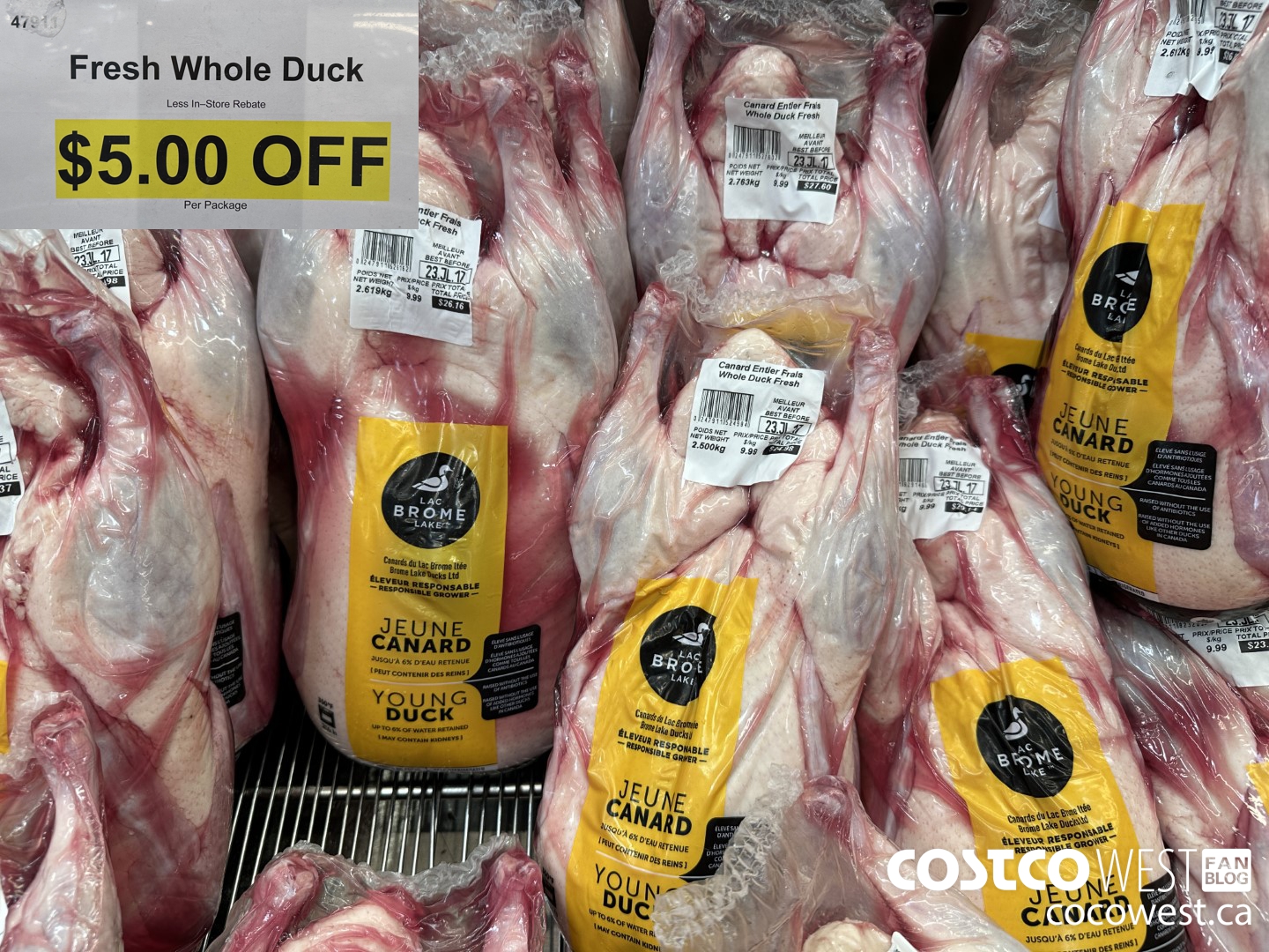 47911 FRESH WHOLE DUCK ($5.00 INSTANT SAVINGS)