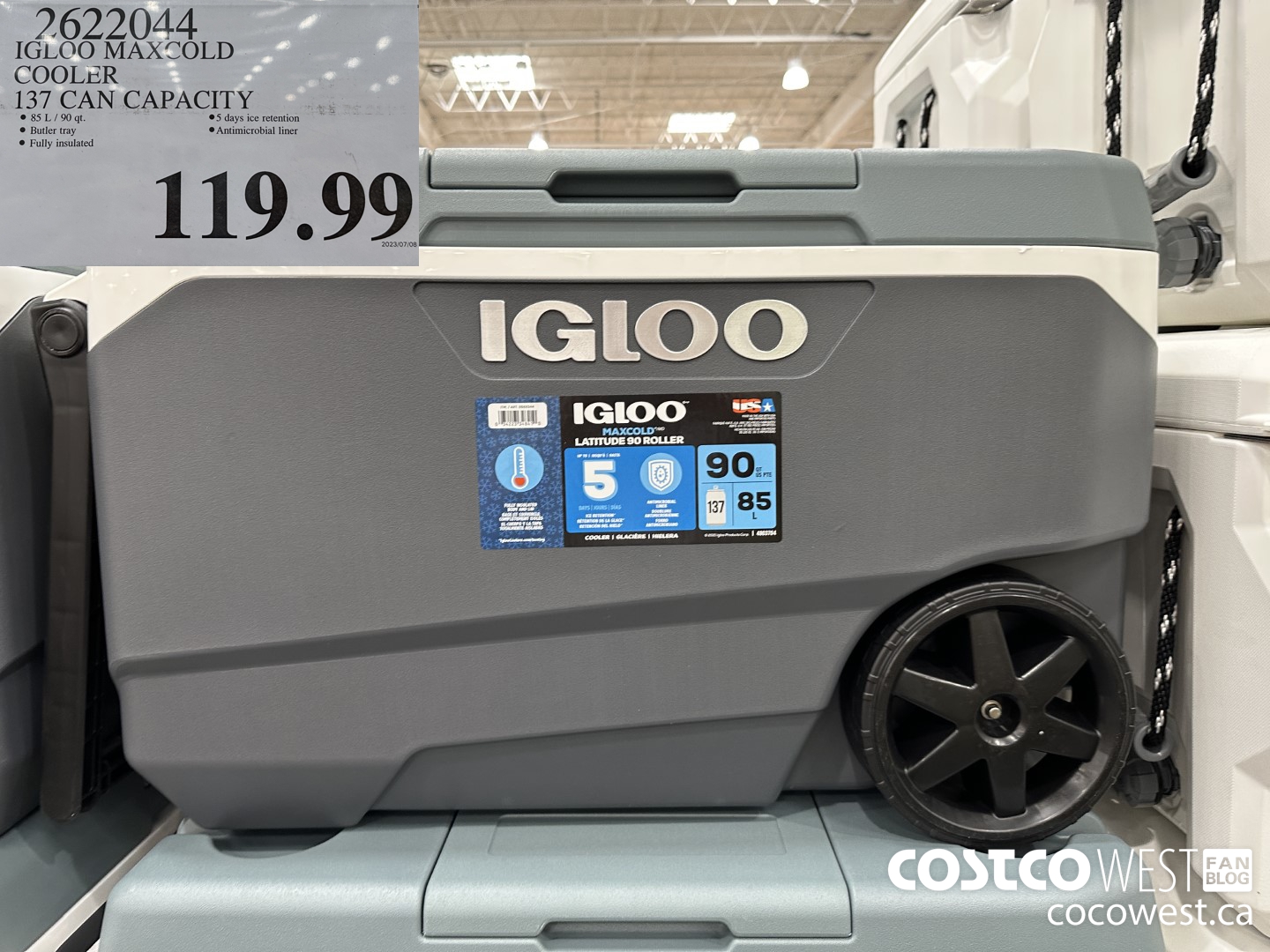 2622044 IGLOO MAXCOLD COOLER 137 CAN CAPACITY $119.99