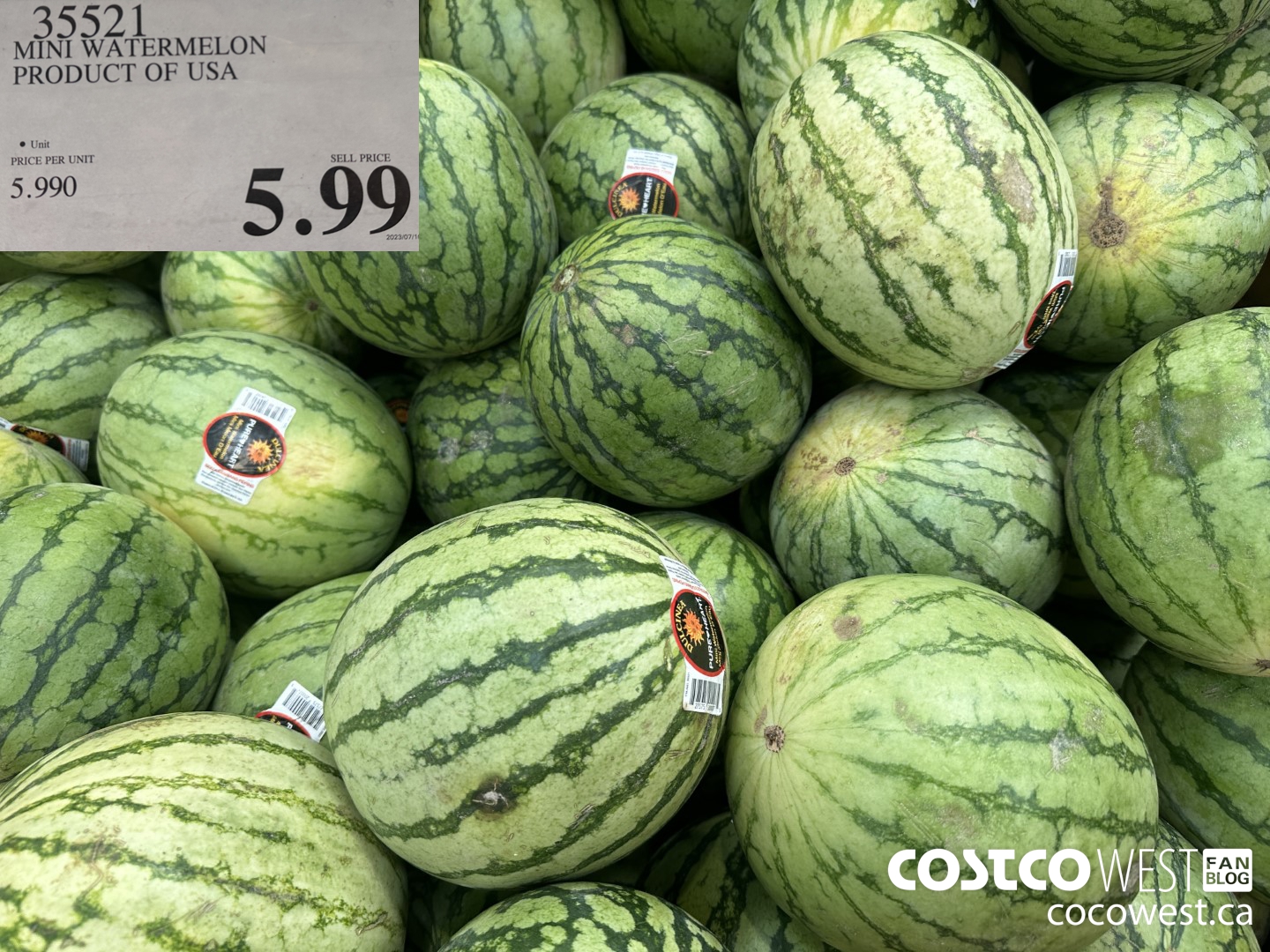 35521 MINI WATERMELON PRODUCT OF USA $5.99