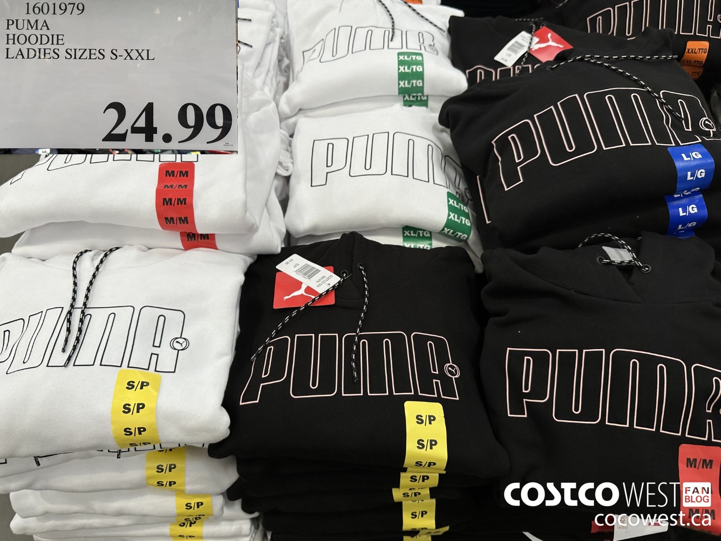 1601979 PUMA HOODIE LADIES SIZES S-XXL $24.99