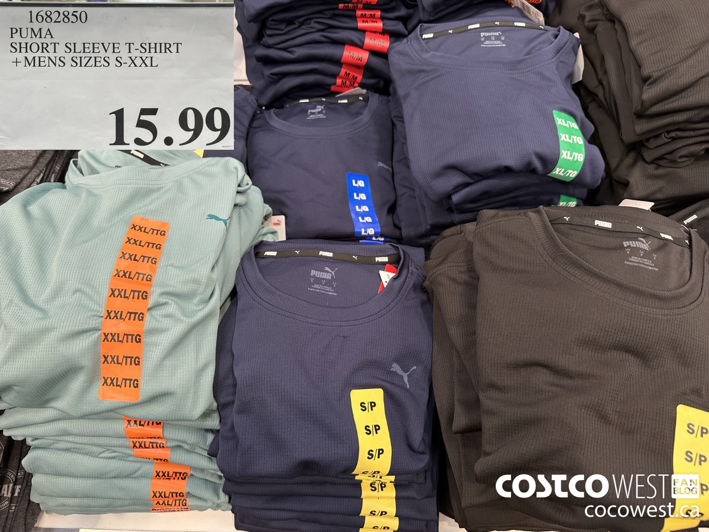 1682850 PUMA SHORT SLEEVE T-SHIRT + MENS SIZES S-XXL  $15.99