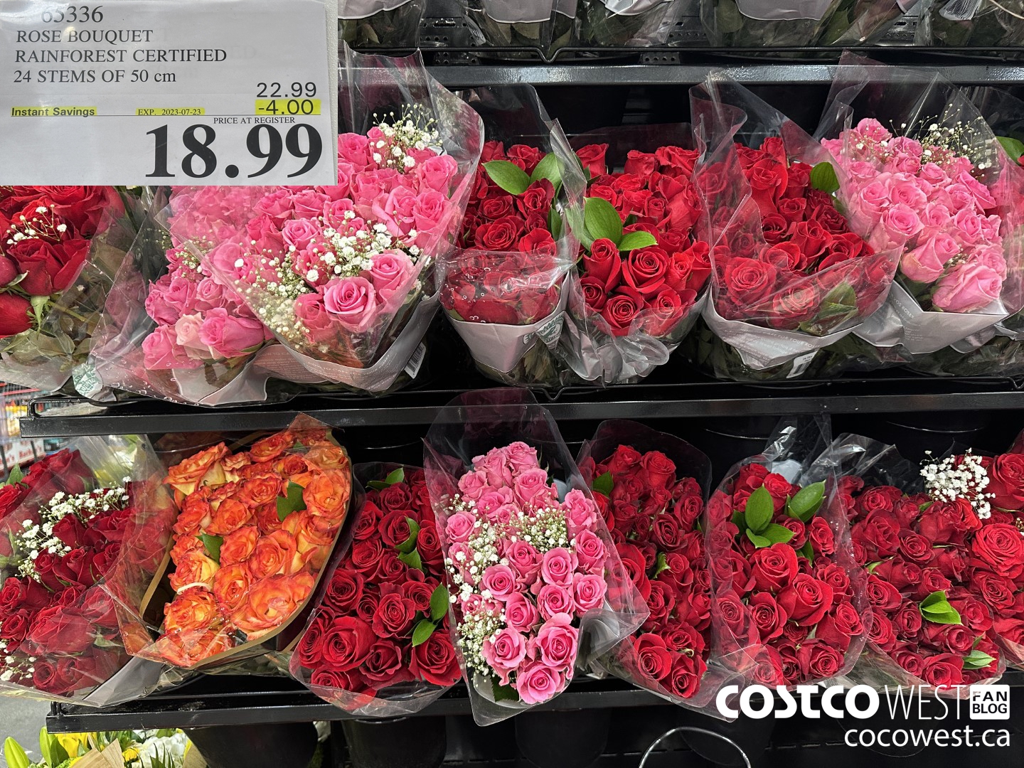 65336 ROSE BOUQUET RAINFOREST CERTIFIED 24 STEMS OF 50 cm ($4.00 INSTANT SAVINGS EXPIRES ON 2023-07-23) $18.99