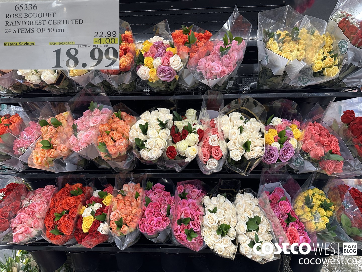 65336 ROSE BOUQUET RAINFOREST CERTIFIED 24 STEMS OF 50 cm ($4.00 INSTANT SAVINGS EXPIRES ON 2023-07-23) $18.99