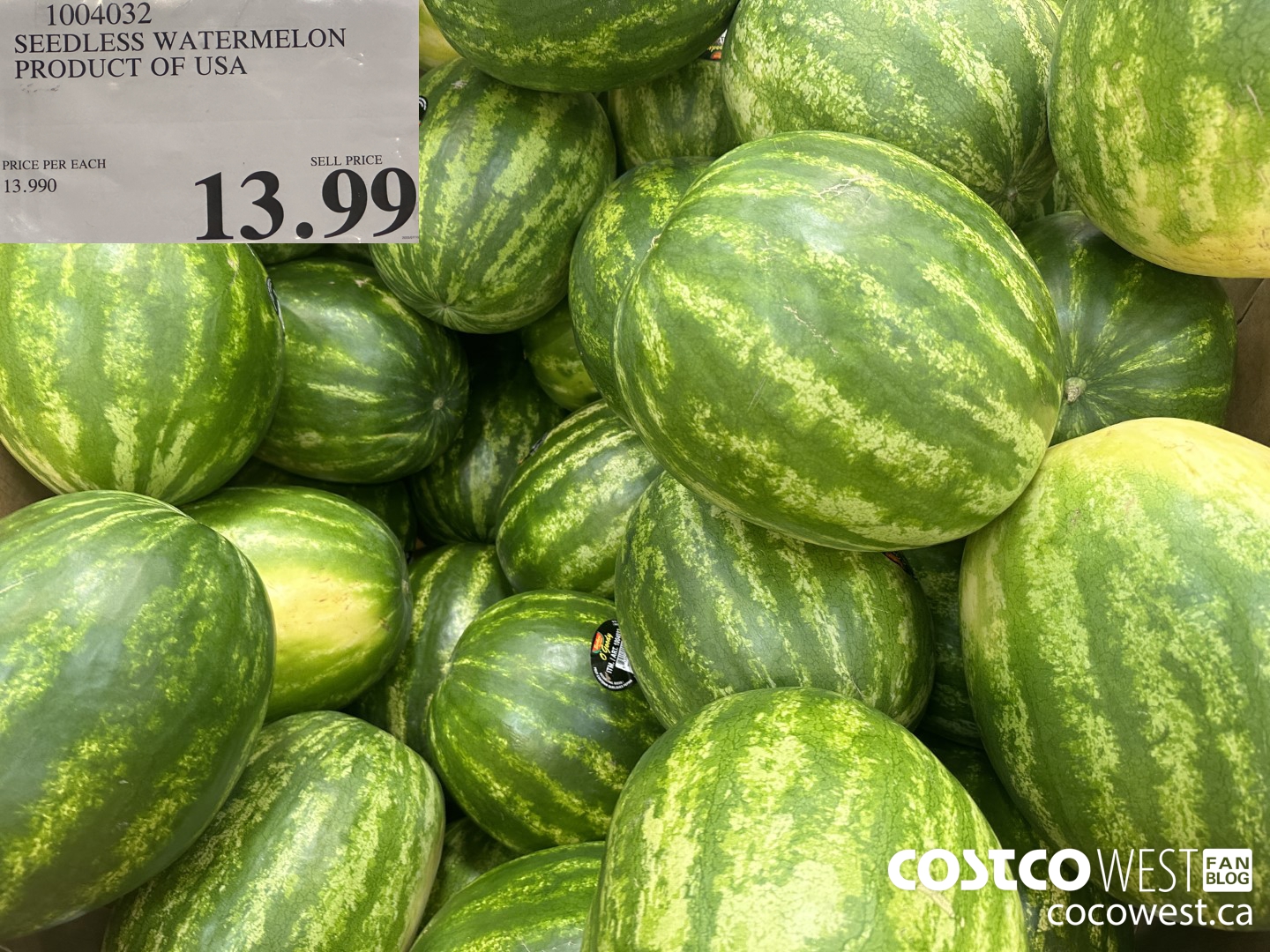 1004032 SEEDLESS WATERMELON PRODUCT OF USA $13.99