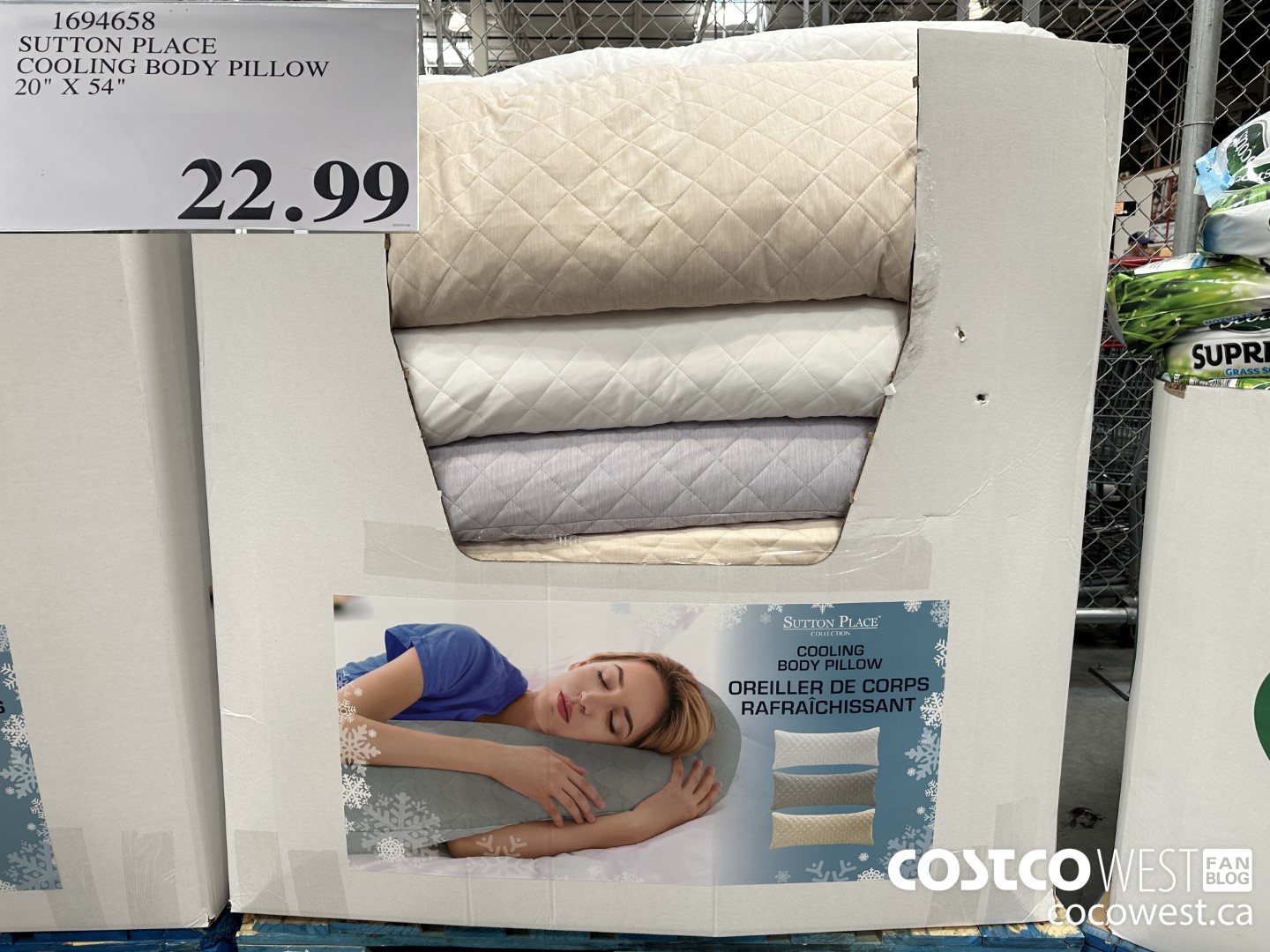 1694658 SUTTON PLACE COOLING BODY PILLOW 20