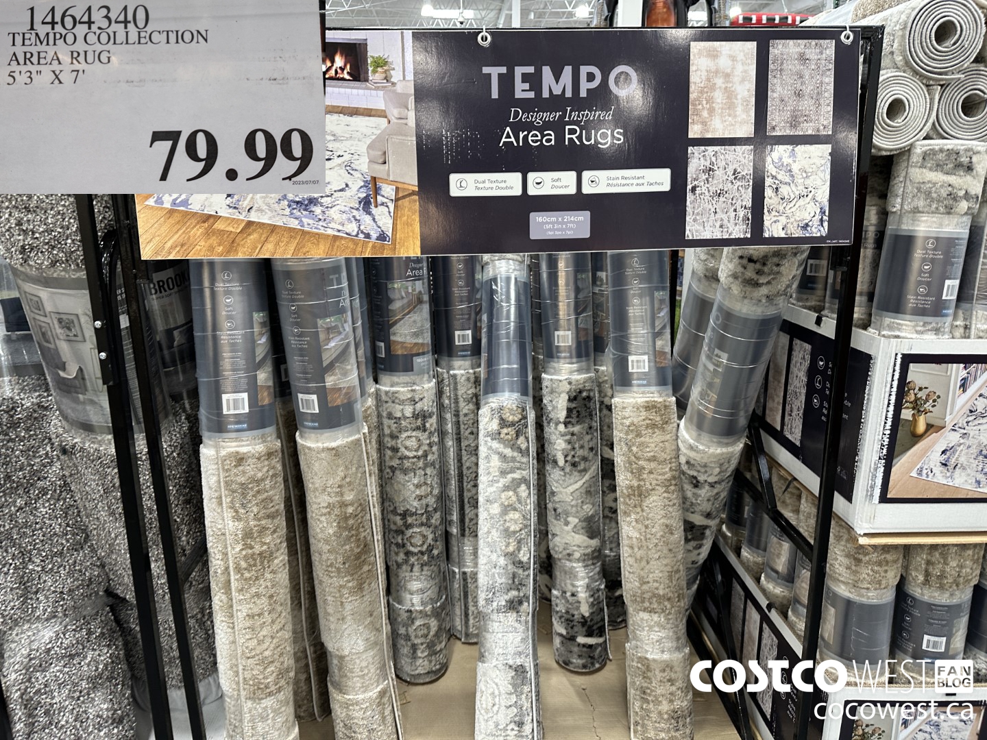 1464340 TEMPO COLLECTION AREA RUG 5'3