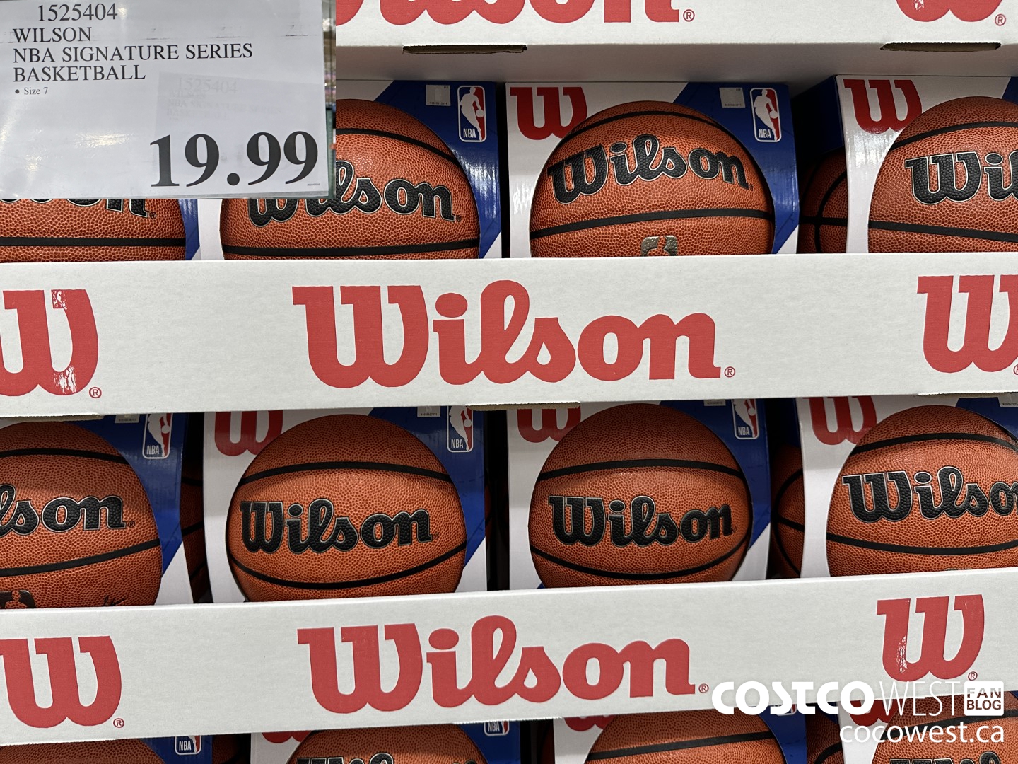 1525404 WILSON NBA SIGNATURE SERIES BASKETBALL  $19.99
