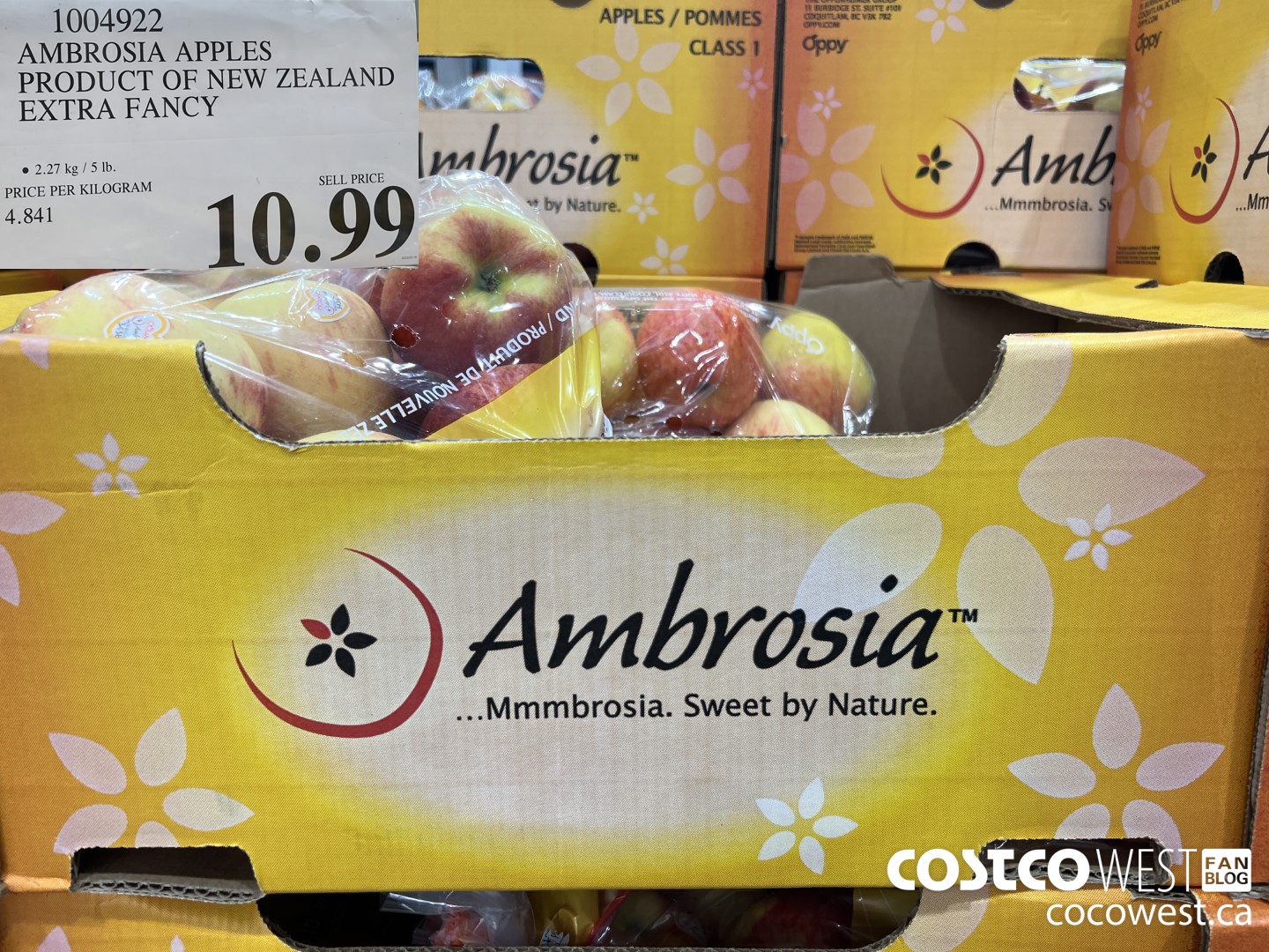 1004922 AMBROSIA APPLES PRODUCT OF CHILE EXTRA FANCY $10.99