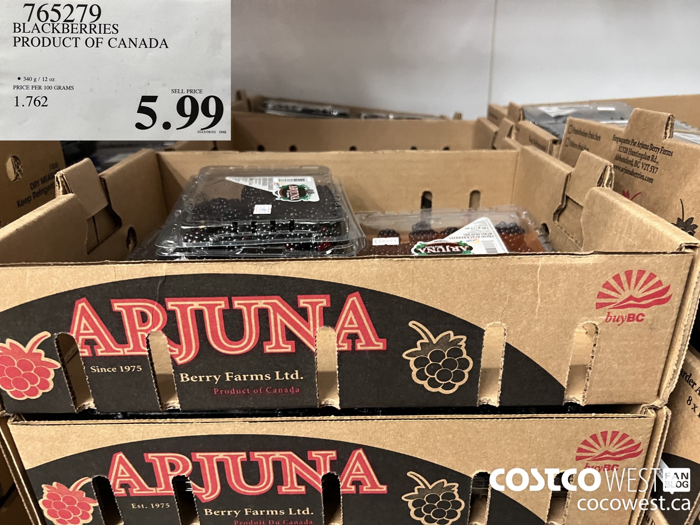 765279 BLACKBERRIES PRODUCT OF CANADA $5.99