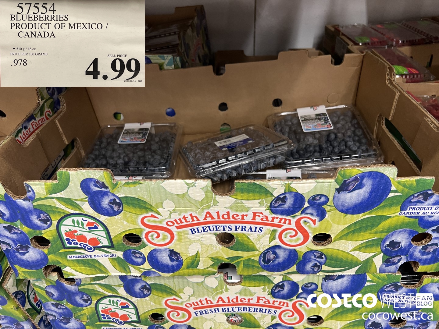 57554 BLUEBERRIES PRODUCT OF MEXICO / CANADA $4.99