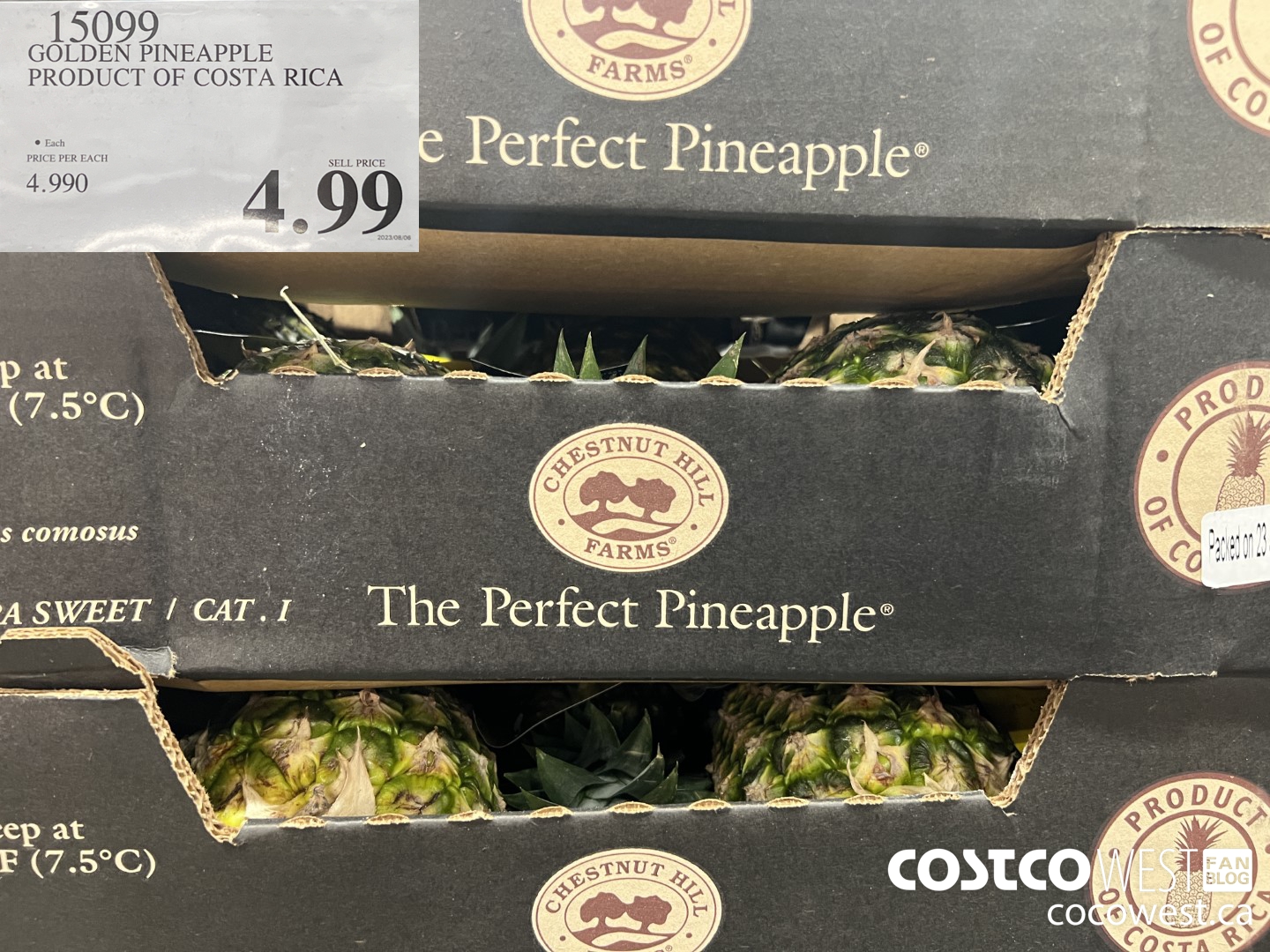 15099 GOLDEN PINEAPPLE PRODUCT OF COSTA RICA $4.99