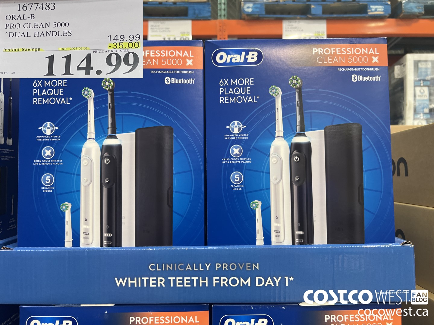 1677483 ORAL-B PRO CLEAM 5000 DUAL HANDLES ($35.00 INSTANT SAVINGS EXPIRES ON 2023-09-03) $114.99
