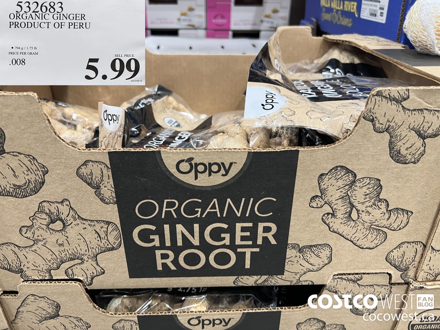 Costco Summer 2023 Superpost – The Entire Clothing Section! - Costco West  Fan Blog