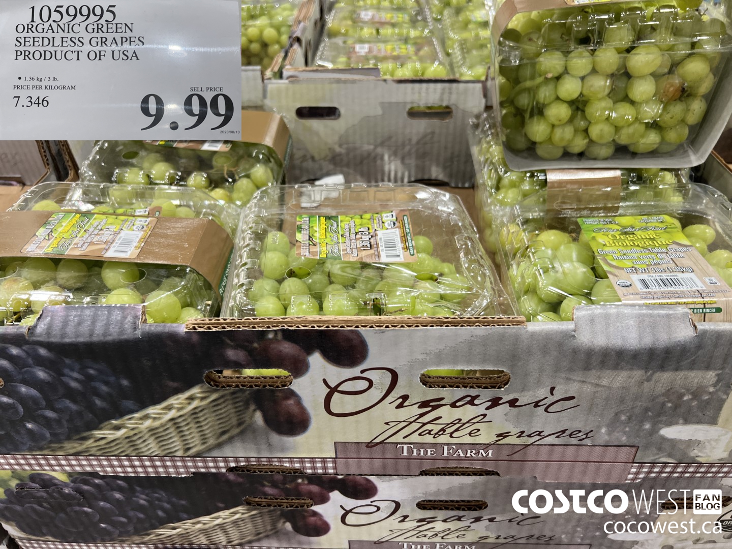 1059995 ORGANIC GREEN SEEDLESS GRAPES PRODUCT OF USA $9.99