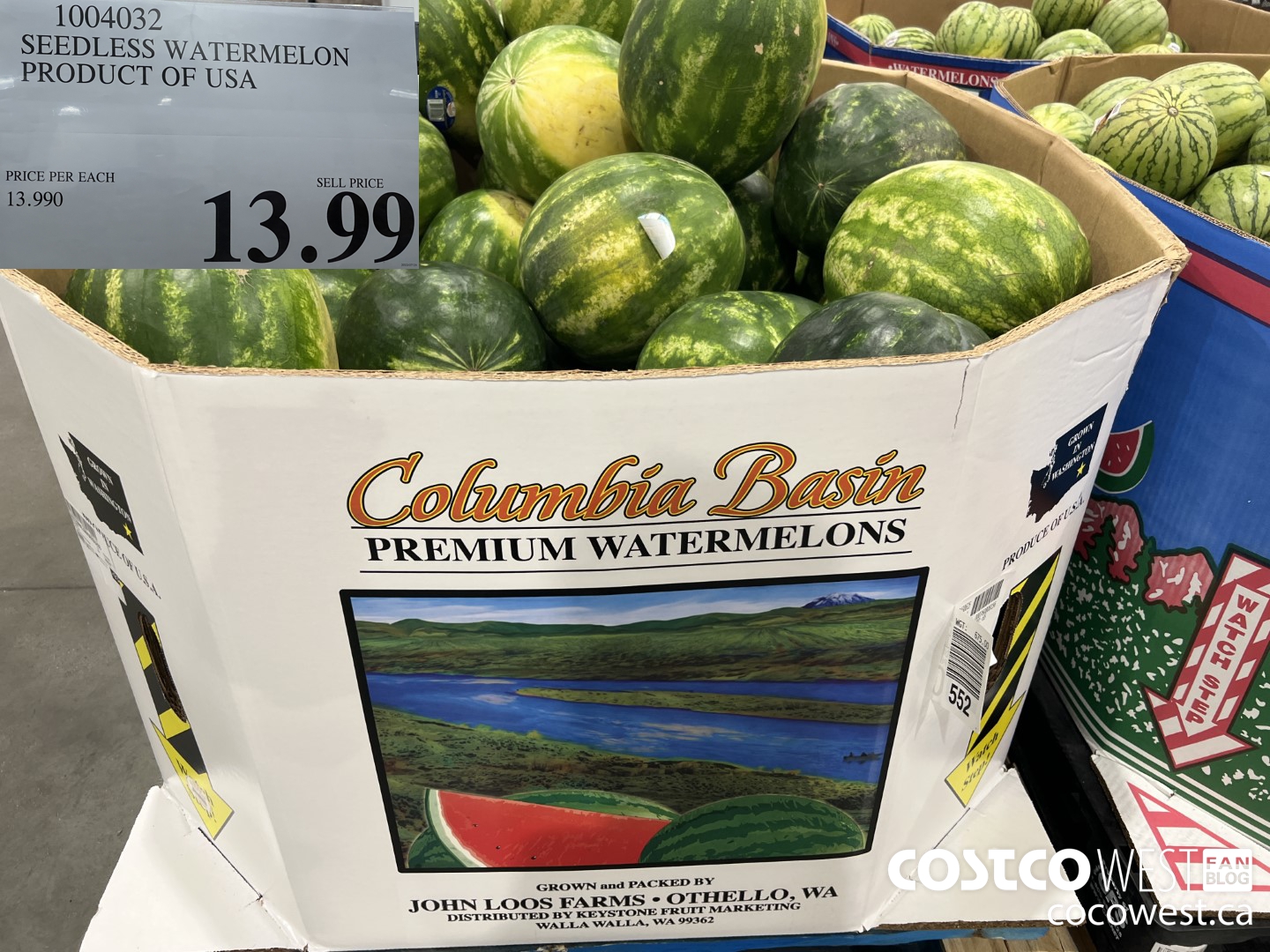 1004032 SEEDLESS WATERMELON PRODUCT OF USA $13.99