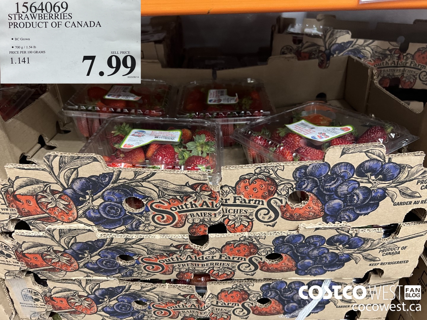 Costco Summer 2023 Superpost – The Entire Fresh Fruit & Vegetable Section - Costco  West Fan Blog
