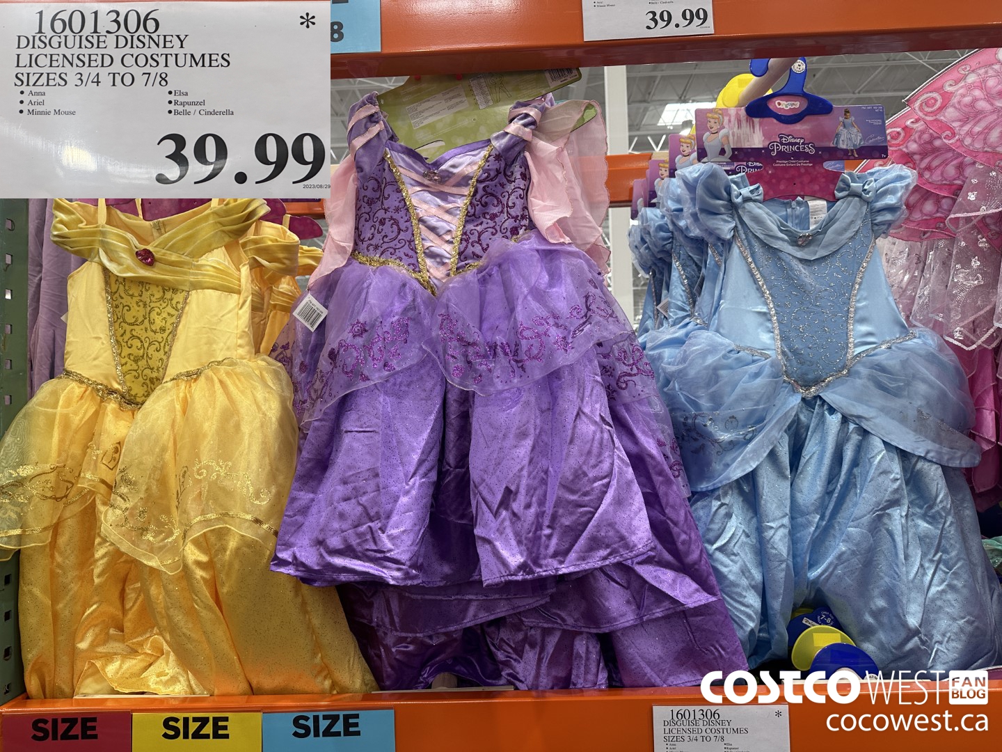 Costco shop princess dress