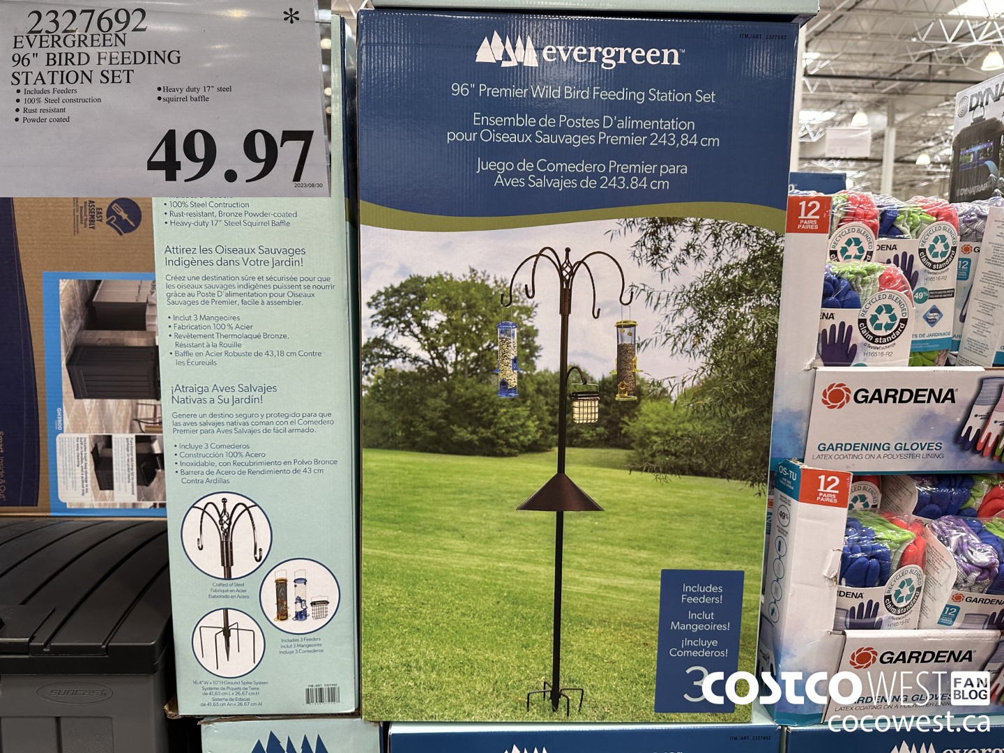 2327692 EVERGREEN 96