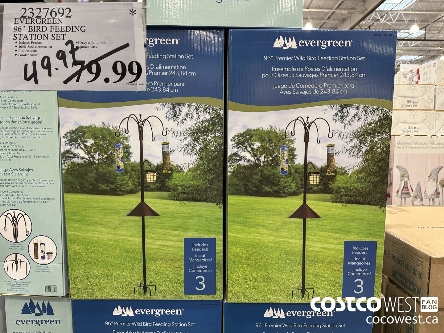 2327692 EVERGREEN 96