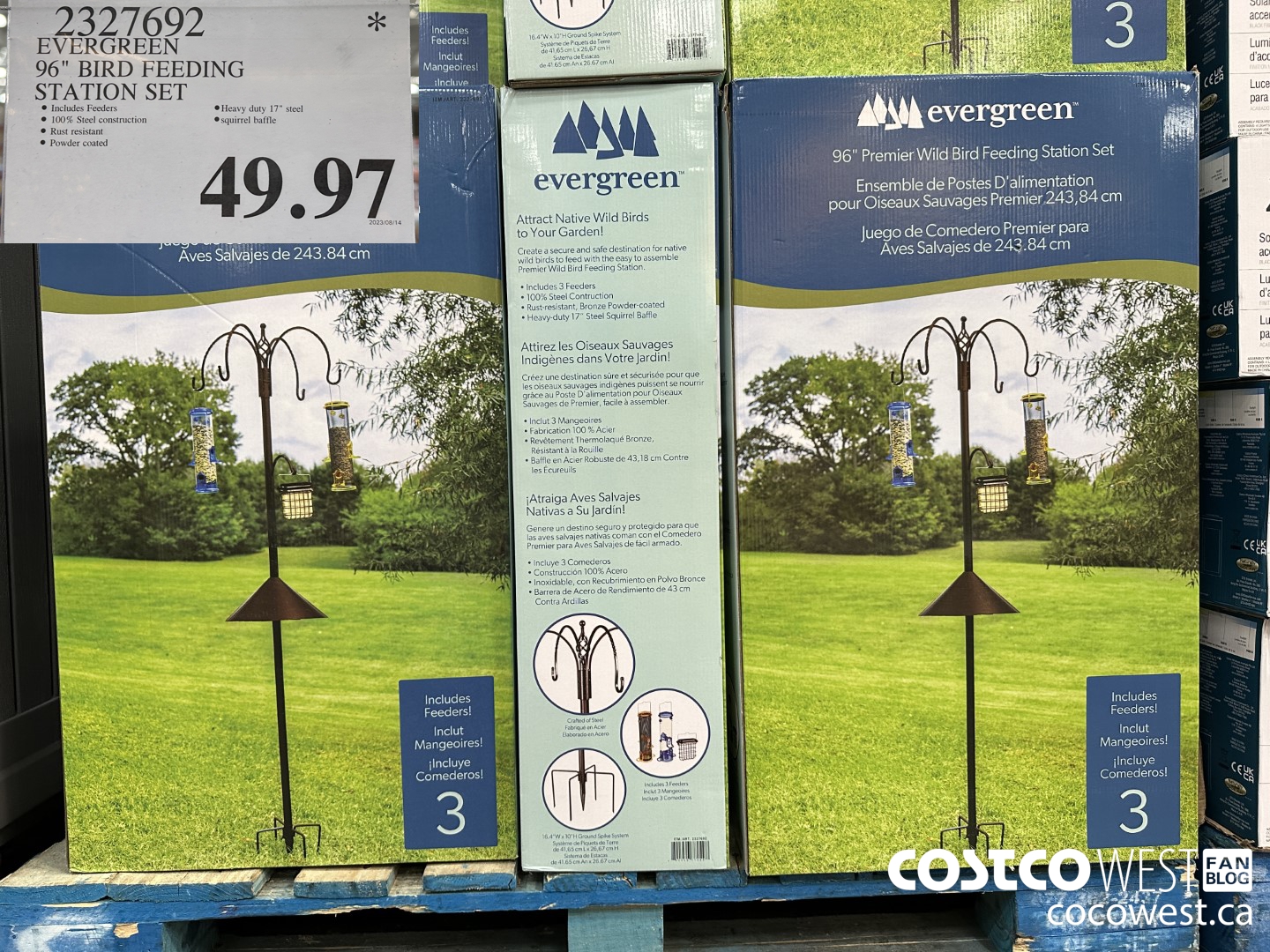 2327692 EVERGREEN 96