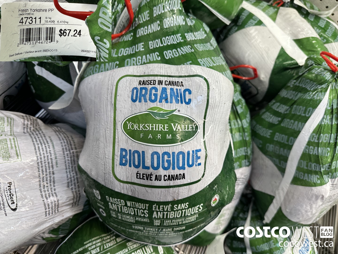 47311 FRESH YORKSHIRE PP $10.49