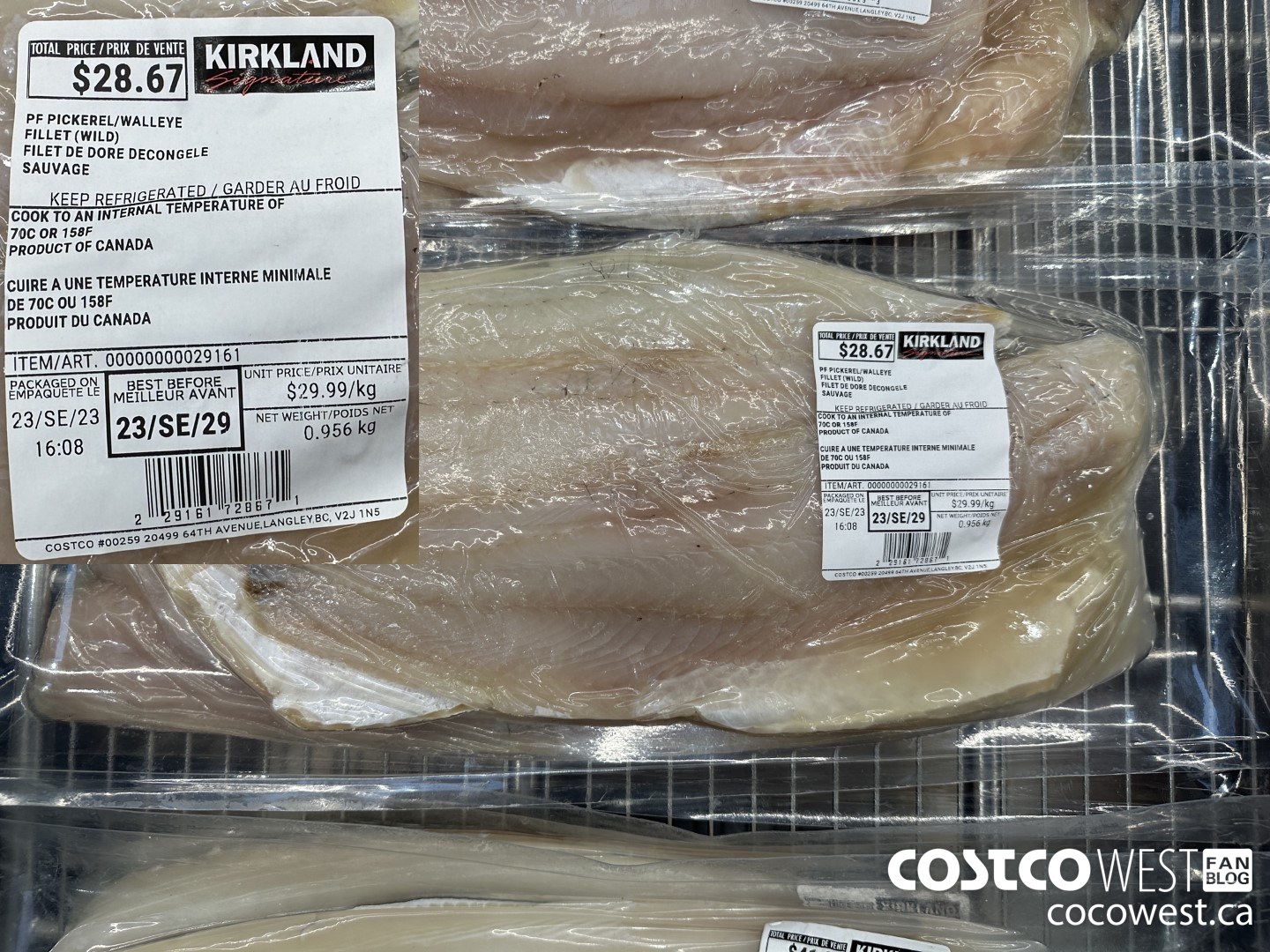 29161 PF PICKEREL/WALLEYE FILLET (WILD) $29.99