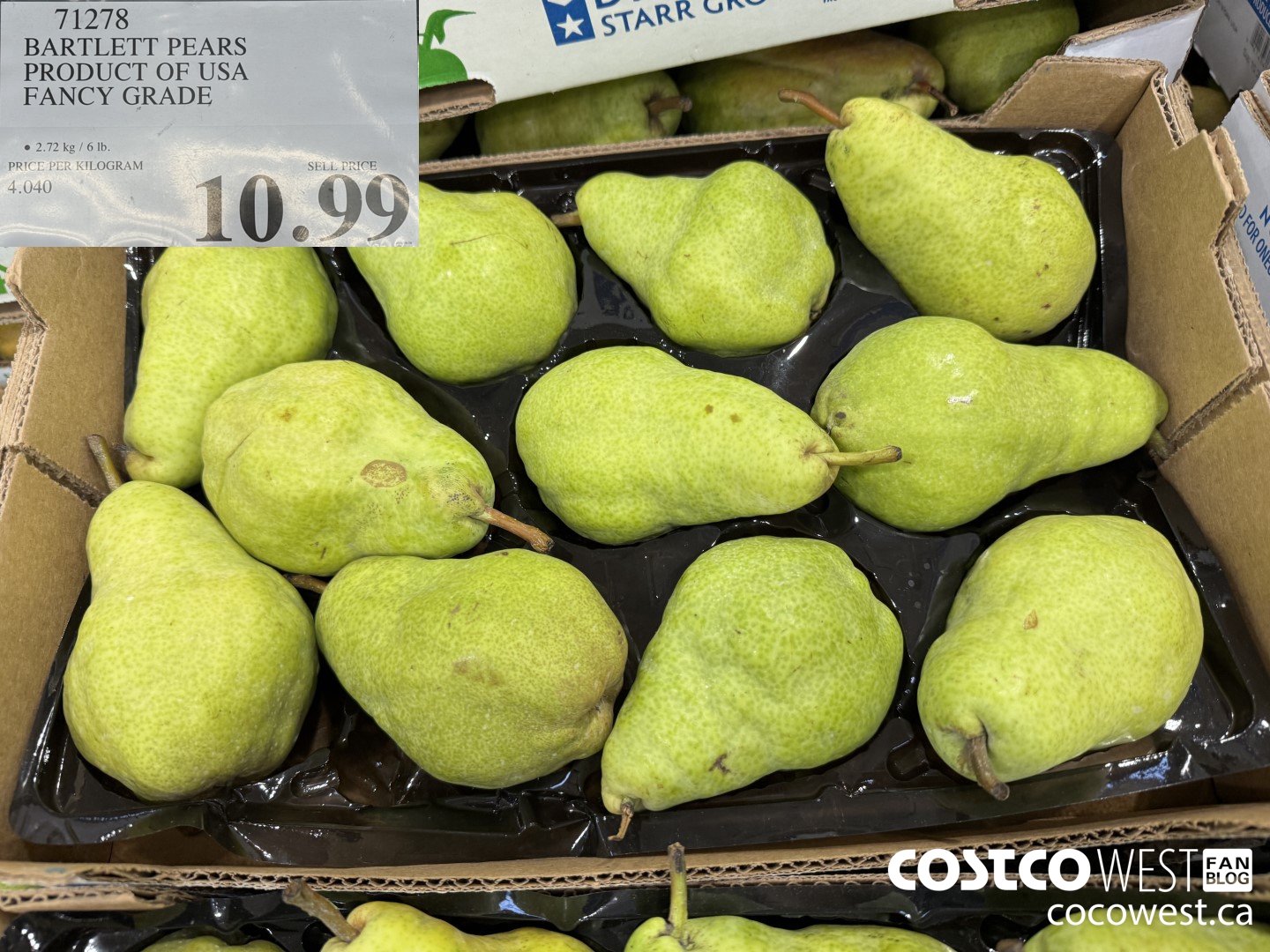 https://west.cocowest1.ca/2023/10/BARTLETT_PEARS_PRODUCT_OF_USA_FANCY_GRADE_20231002_139607.jpg