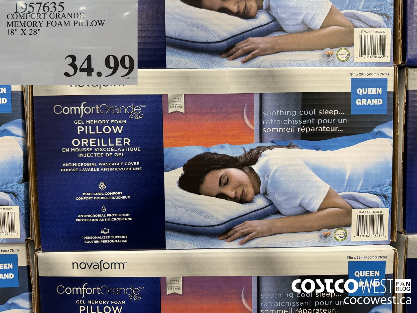 Frost memory foam pillow cheap costco