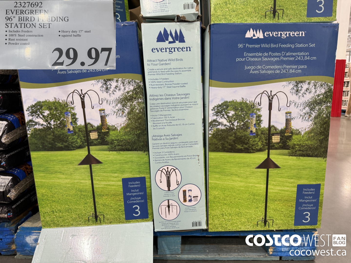 2327692 EVERGREEN 96